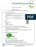 Leaves The Food Factory of A Plants I Class 4 Worksheet 0 2020 13-08-055616