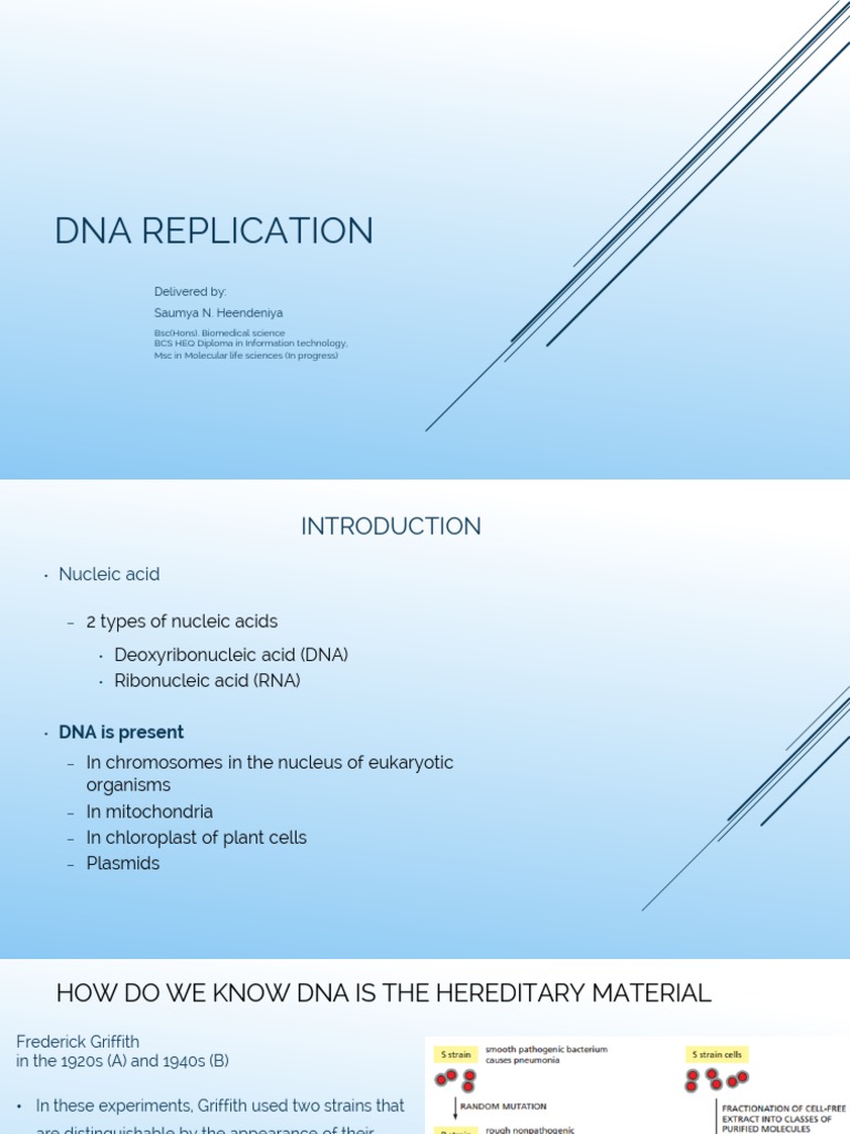 DNA Structure and Replication | PDF | Dna Replication | Dna