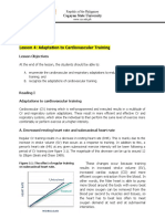 l4 Adaptation of Cardiovascular Training