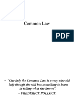 L 17 common law (1)