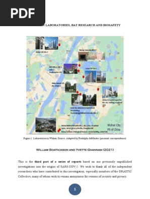 Wuhan Laboratories, Bat Research and Biosafety