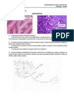 Estudo Dirigido - Tecido Nervoso e Adiposo