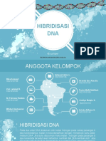 Fix Kelompok 2 Hibridisasi DNA