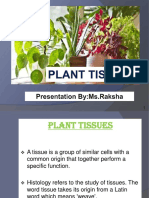 Grade-9 Cbse Chapter-6 Plant Tissues