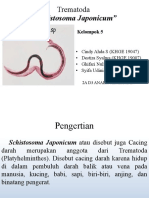 5) PPT Schistosoma Japonicum