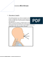 Blowstream Ejercicios