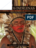 Pueblos Indigenas Reflexiones Decoloniais