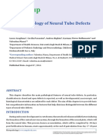 GR Up: Histopathology of Neural Tube Defects