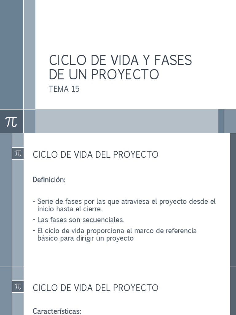 Fases del Ciclo de Vida de un Proyecto | PDF