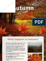 Autumn PPT
