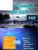 Microbiologia Del Agua