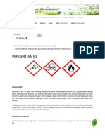 Sistem Informasi B3 & POPs