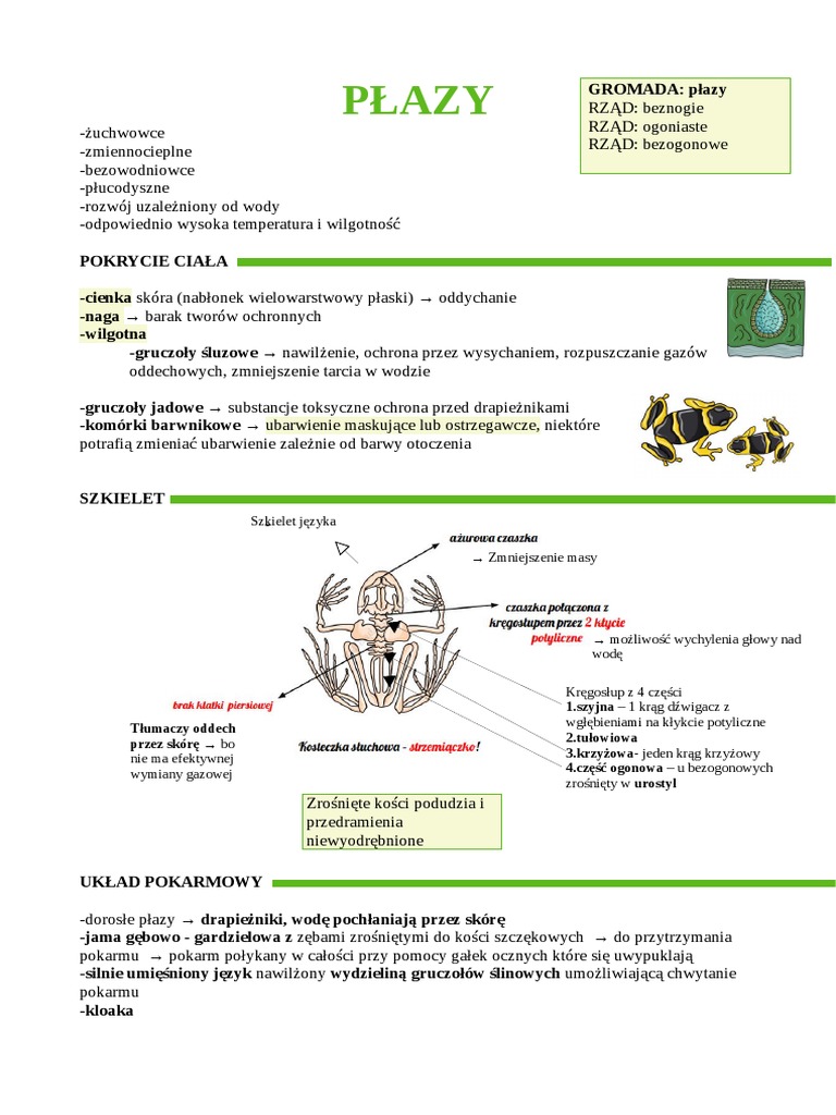Płazy | PDF