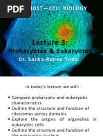 Lecture 3 (Sep 10) - Prokaryotes and Eukaryotes