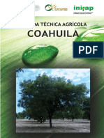 Coahuila 2017