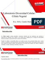 7 - Diversidad Celular - Célula Vegetal
