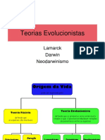 Teorias Evolucionistas (1)