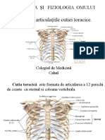 Cutia Toracică