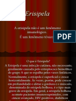 Slide Erisipela