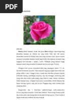 Download BUNGA MAWAR by Dewiosa Cell SN52626631 doc pdf