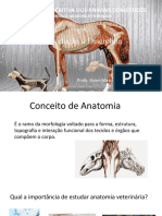 Anatomia descritiva dos animais domésticos