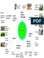 Mapa Menta Desertificacion