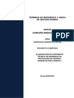 REG-VOL-GLO-06-13 TDR Elaboración de Expediente Técnico Protección CH Baños V