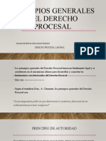 Principios Generales Del Derecho Procesal