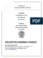 Tata Iron and Steel Company: A Report On