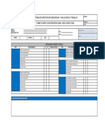 Preoperacional Puente Grua