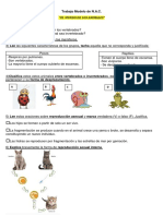 Trabajo Modelo NAC Animales