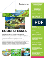 Eco SISTEMAS