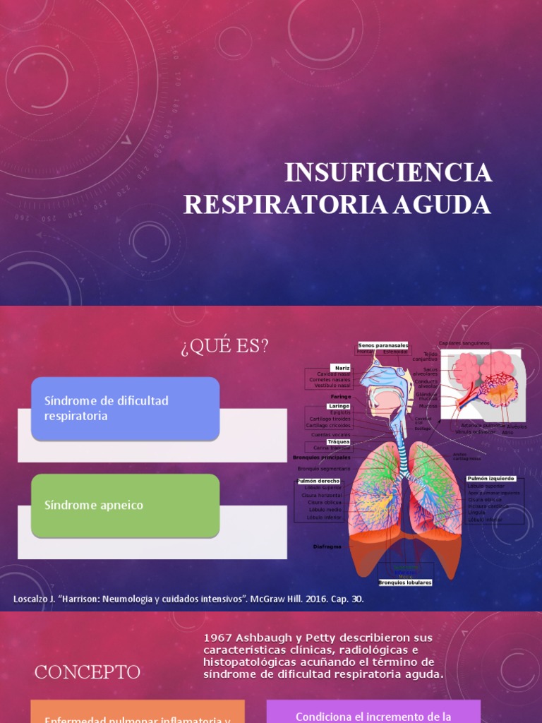 Insuficiencia Respiratoria Aguda PDF Pulmón Neumología