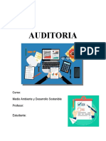 B5 - 4 Auditoria