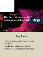 Chapter 3 - The Deep Structure of Culture Lessons From The Family