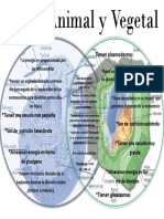 Diagrama de Venn de Célula Vegetal y Animal