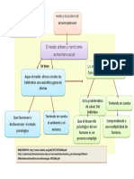 Mapa Conceptual Bromfenbrenner