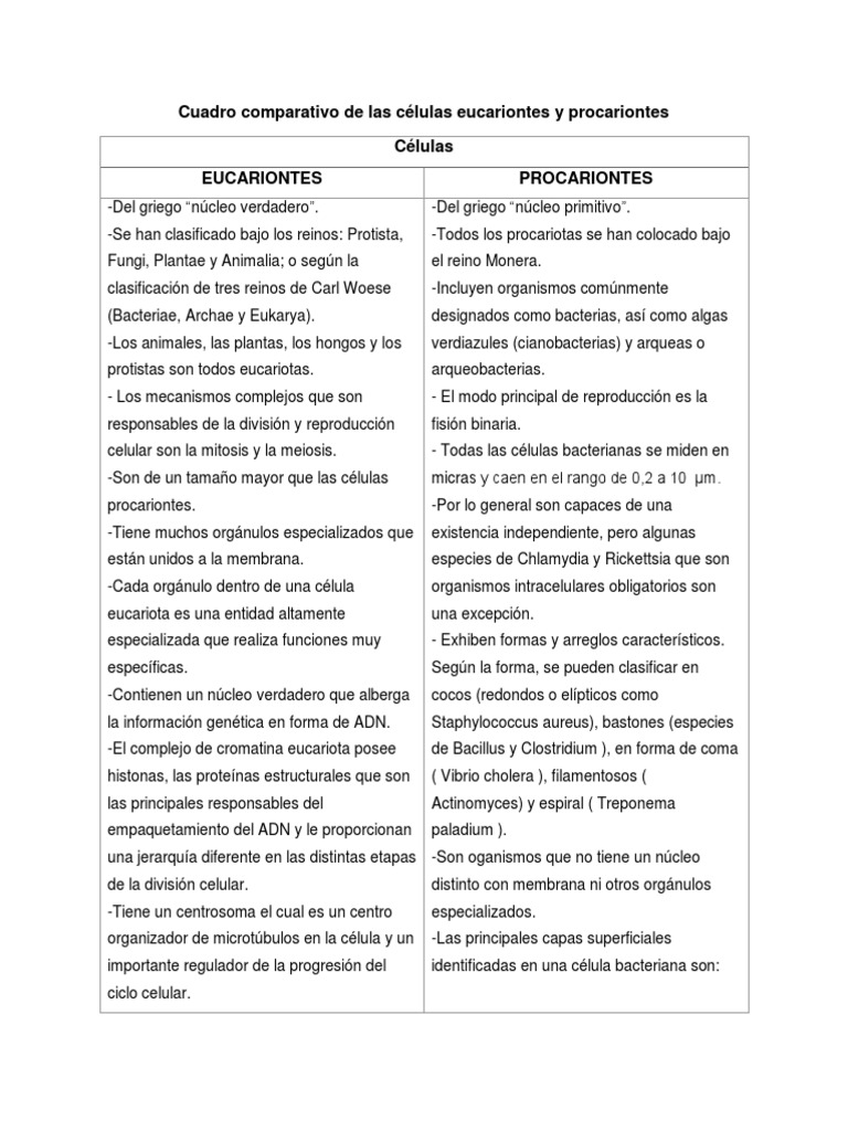 Comparativa de Células Eucariotas y Procariotas | PDF | Biología ...