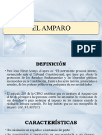 Amparo: Definición, Características, Finalidad y Principios que lo Rigen