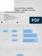 6 de Sept Histologia