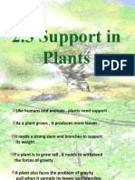 2.3 Support in Plants