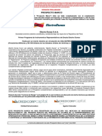 Electro Dunas - Prospecto Marco - Primer Programa de IRDs [PRELIMINAR]