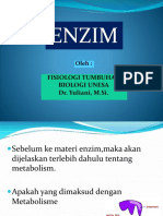 Enzim Metabolisme