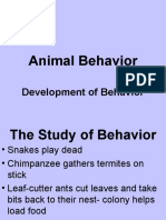 Development of Animal Behaviour