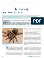 Tarantula Husbandry and Critical Care