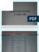 Orgut Yapilari-2