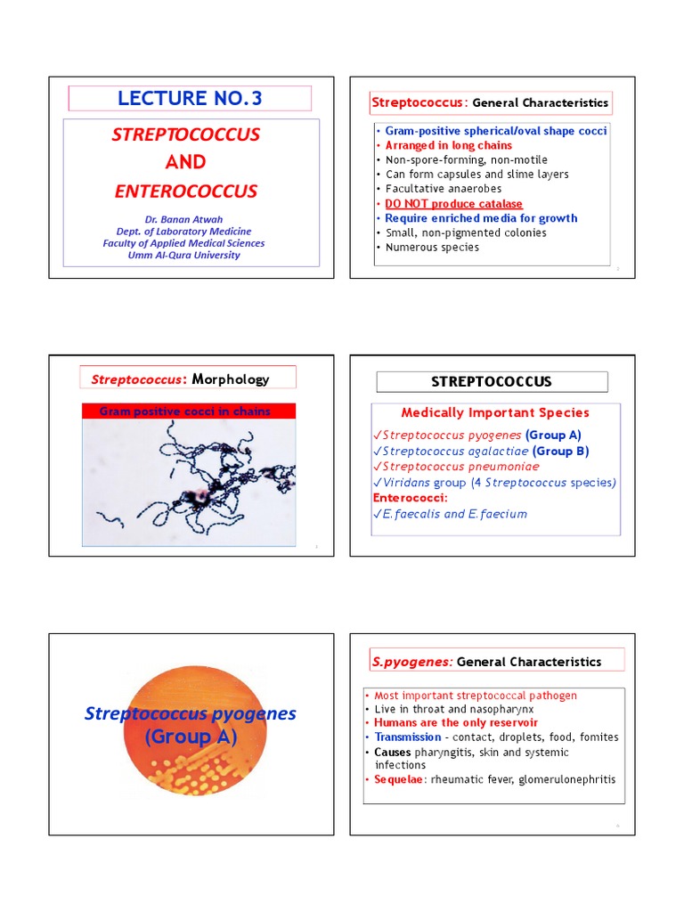 Streptococcus and Enterococcus Overview | PDF | Streptococcus | Medical ...