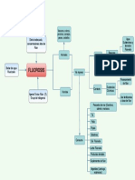 Diagrama de Causalidad - Fluorosis - 2 Entrega