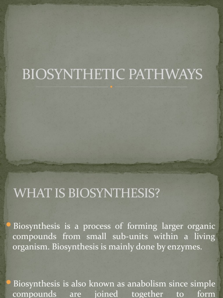 Biosynthesis and Metabolic Pathways | PDF | Metabolism | Metabolic Pathway