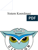 Sistem Koordinasi